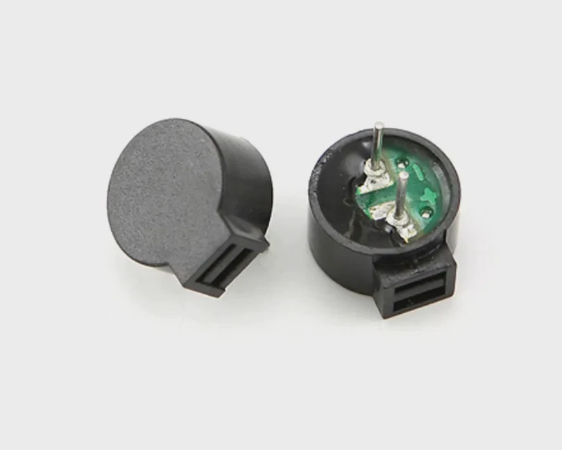 Changzhou Magnetic Buzzer LET9650BA