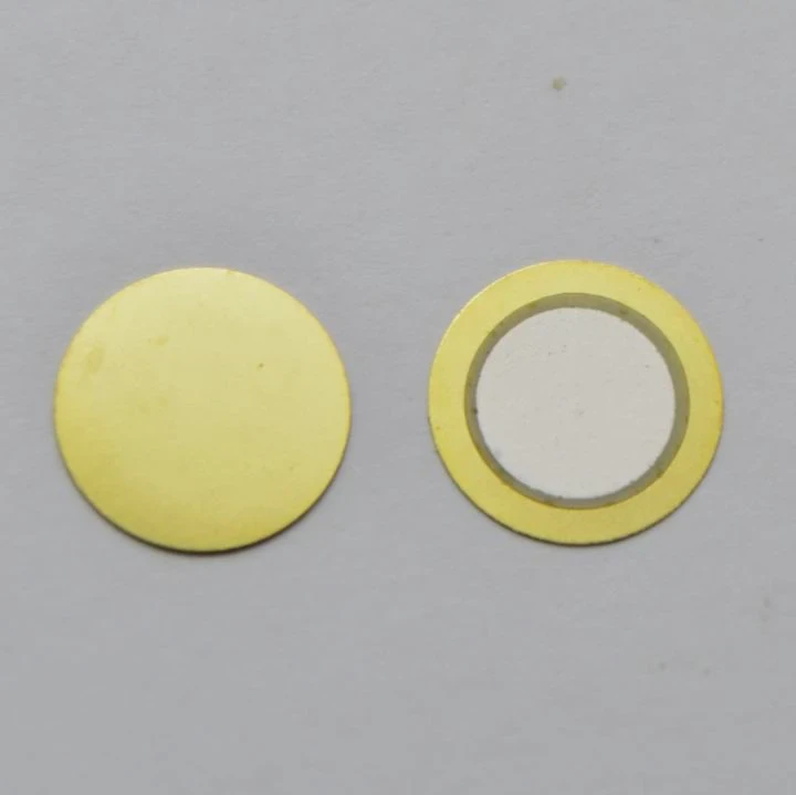 Alumina Ceramic Piezo Disc