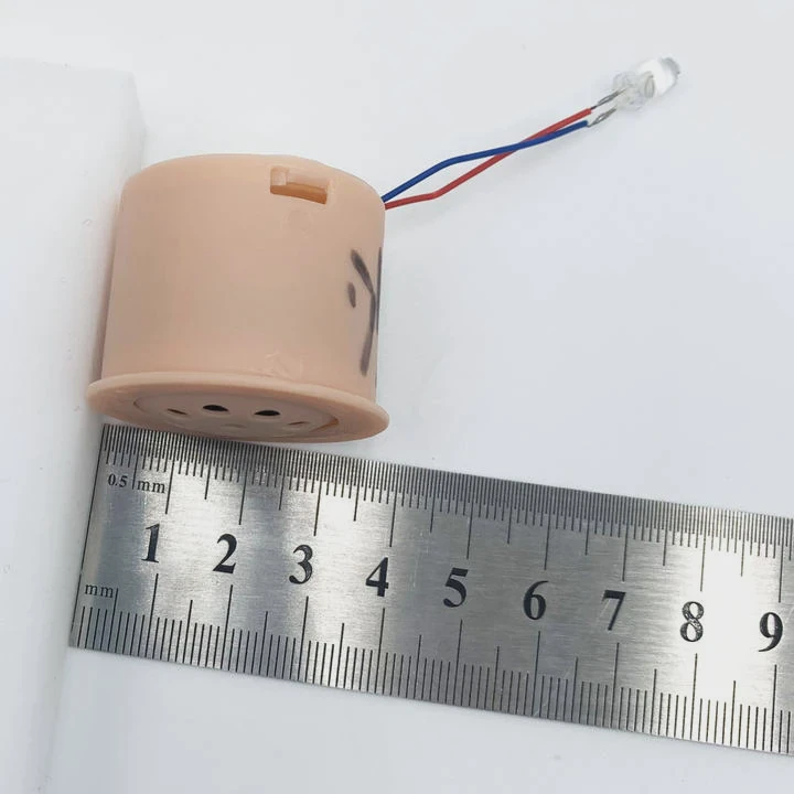 Pre-Record Sound Module