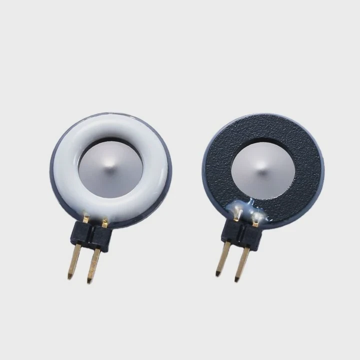 Ultrasonic Piezo Nozzle Plate