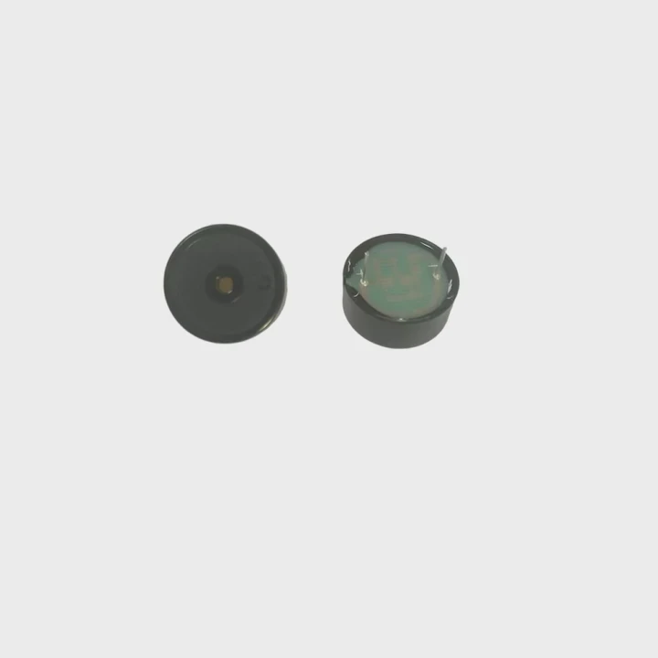 23Mm 24V Active Repellent Piezo Buzzer