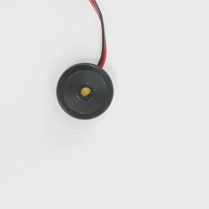 24Mm Ac Continuous Piezo Alarm Buzzer